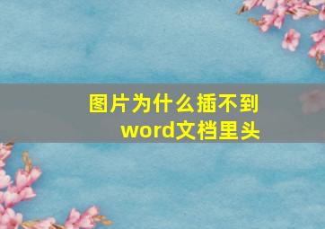 图片为什么插不到word文档里头