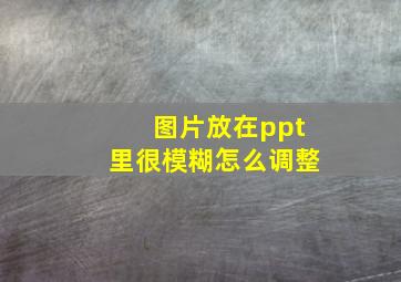 图片放在ppt里很模糊怎么调整