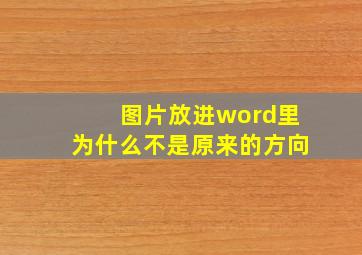 图片放进word里为什么不是原来的方向