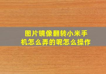 图片镜像翻转小米手机怎么弄的呢怎么操作