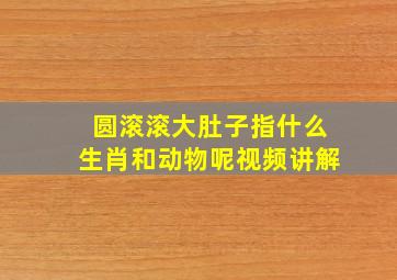 圆滚滚大肚子指什么生肖和动物呢视频讲解