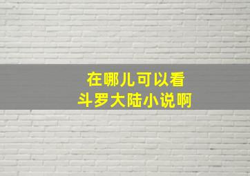 在哪儿可以看斗罗大陆小说啊