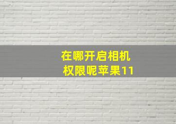 在哪开启相机权限呢苹果11