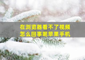 在浏览器看不了视频怎么回事呢苹果手机