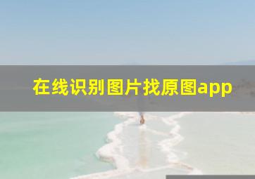 在线识别图片找原图app