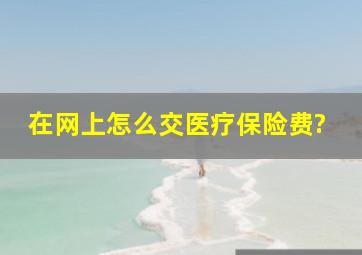 在网上怎么交医疗保险费?