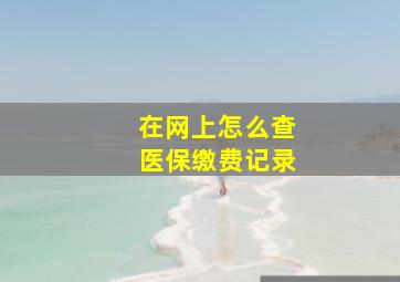 在网上怎么查医保缴费记录