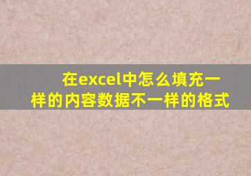 在excel中怎么填充一样的内容数据不一样的格式