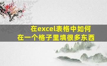 在excel表格中如何在一个格子里填很多东西