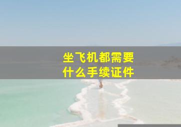 坐飞机都需要什么手续证件