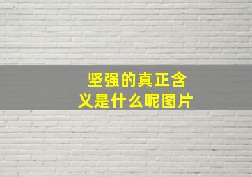 坚强的真正含义是什么呢图片