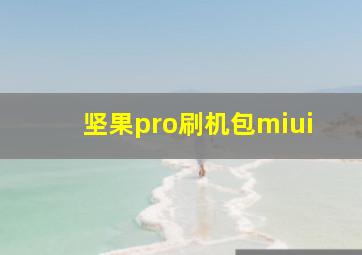 坚果pro刷机包miui