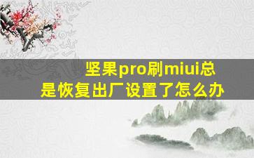 坚果pro刷miui总是恢复出厂设置了怎么办