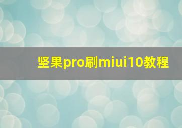 坚果pro刷miui10教程