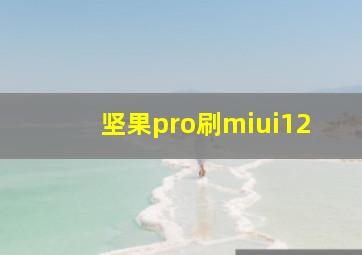 坚果pro刷miui12