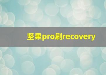 坚果pro刷recovery