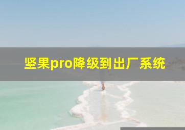 坚果pro降级到出厂系统