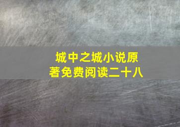 城中之城小说原著免费阅读二十八