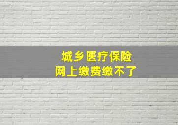 城乡医疗保险网上缴费缴不了