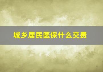 城乡居民医保什么交费