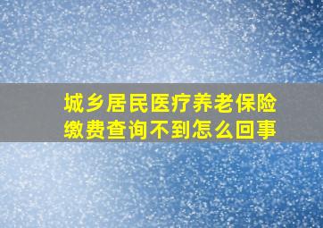 城乡居民医疗养老保险缴费查询不到怎么回事