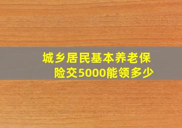 城乡居民基本养老保险交5000能领多少