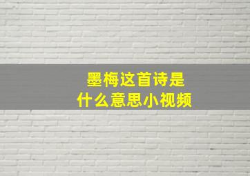 墨梅这首诗是什么意思小视频