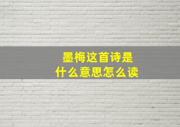 墨梅这首诗是什么意思怎么读