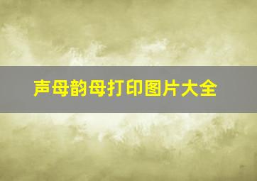 声母韵母打印图片大全