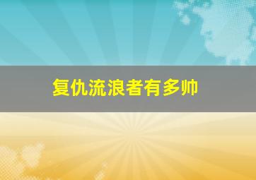 复仇流浪者有多帅