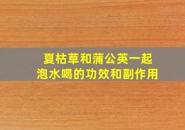 夏枯草和蒲公英一起泡水喝的功效和副作用