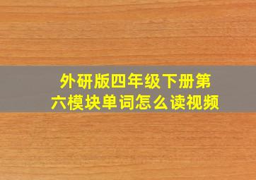 外研版四年级下册第六模块单词怎么读视频