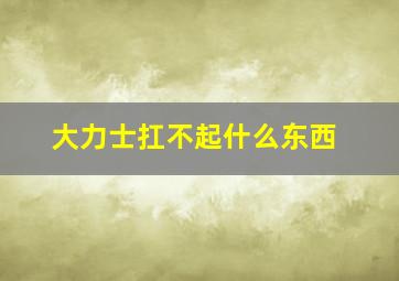 大力士扛不起什么东西