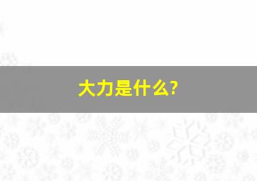 大力是什么?