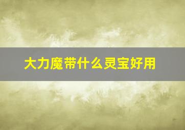 大力魔带什么灵宝好用