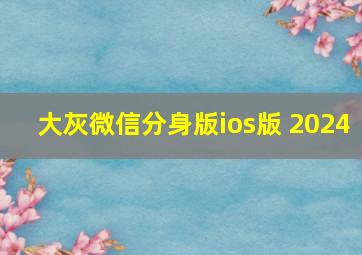 大灰微信分身版ios版 2024