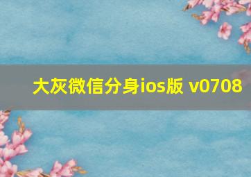 大灰微信分身ios版 v0708