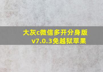 大灰c微信多开分身版v7.0.3免越狱苹果