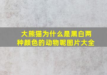 大熊猫为什么是黑白两种颜色的动物呢图片大全