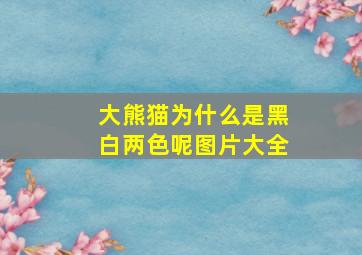 大熊猫为什么是黑白两色呢图片大全