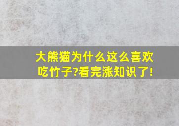 大熊猫为什么这么喜欢吃竹子?看完涨知识了!