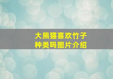 大熊猫喜欢竹子种类吗图片介绍