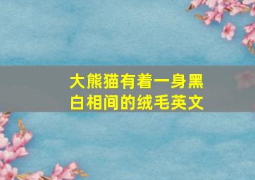 大熊猫有着一身黑白相间的绒毛英文