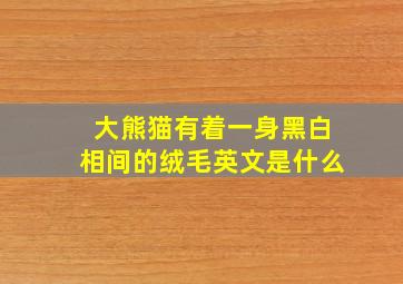 大熊猫有着一身黑白相间的绒毛英文是什么