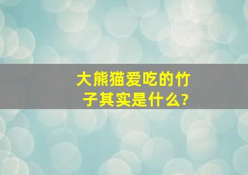 大熊猫爱吃的竹子其实是什么?