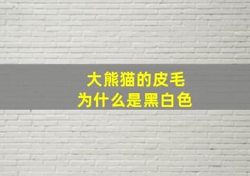 大熊猫的皮毛为什么是黑白色