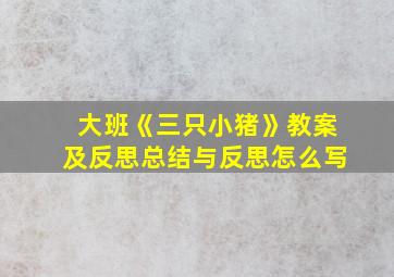 大班《三只小猪》教案及反思总结与反思怎么写