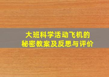 大班科学活动飞机的秘密教案及反思与评价