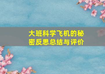 大班科学飞机的秘密反思总结与评价