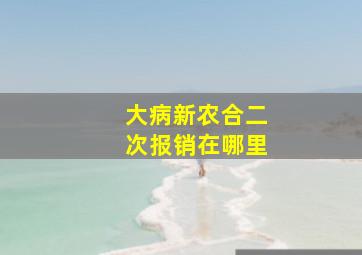 大病新农合二次报销在哪里